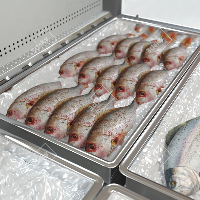 Hypermarket-Ready Fish Refrigerator 3D model image 3