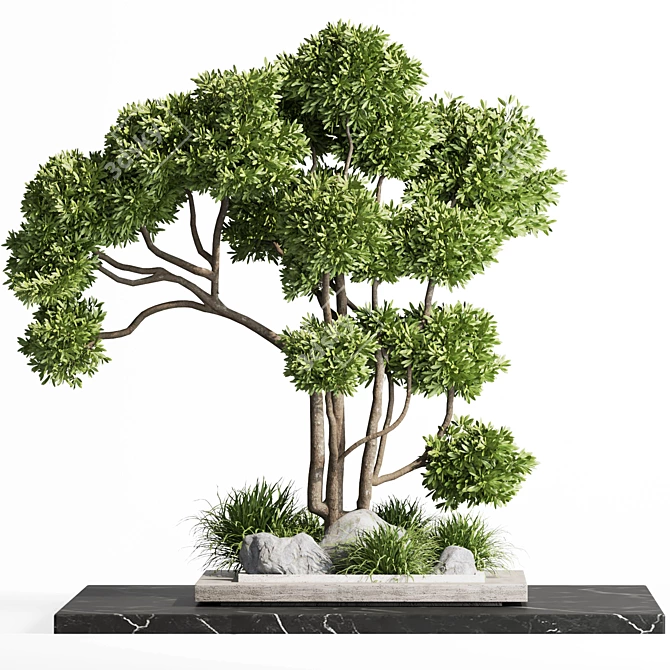 Modern Indoor Plant Set 012 3D model image 2