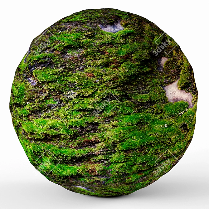 4K Seamless Moss Texture Pack 3D model image 1