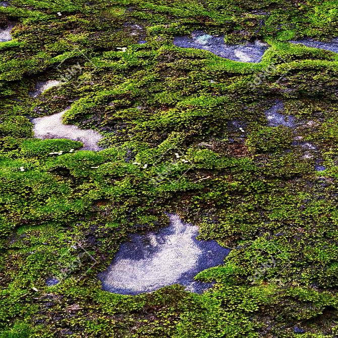 4K Seamless Moss Texture Pack 3D model image 2