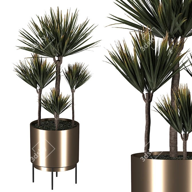 Modern Indoor Plant with Planter 3D model image 2