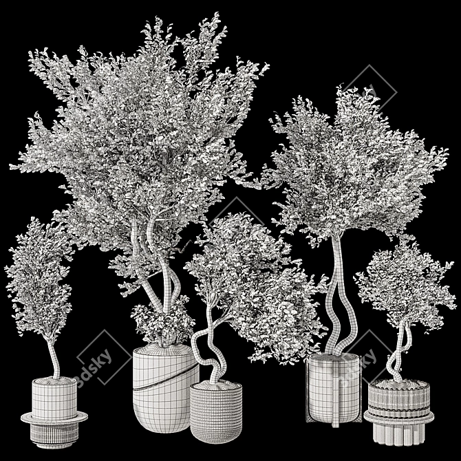 Indoor Bonsai Olive Tree | 3D Model 3D model image 7