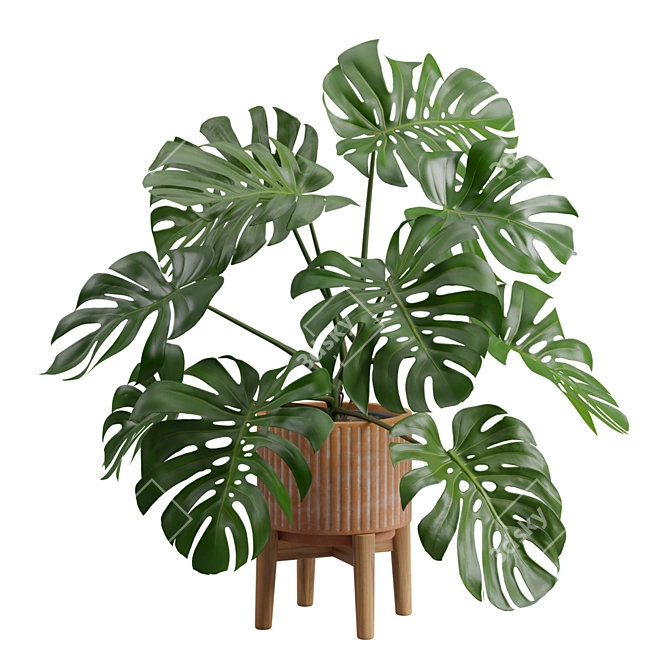 Tropical Monstera Plant Stand Pot 3D model image 1