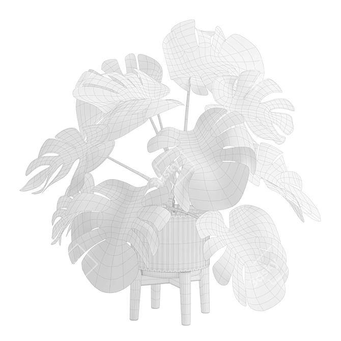 Tropical Monstera Plant Stand Pot 3D model image 3