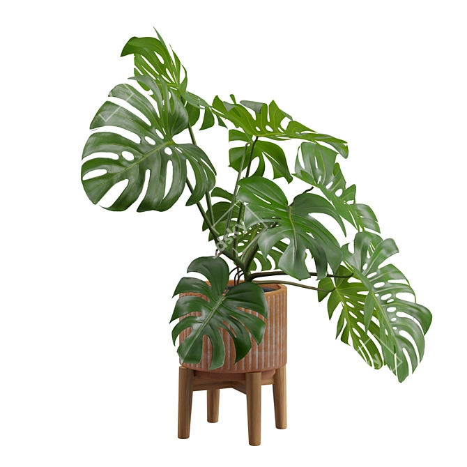 Tropical Monstera Plant Stand Pot 3D model image 4