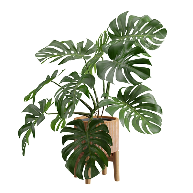 Tropical Monstera Plant Stand Pot 3D model image 6