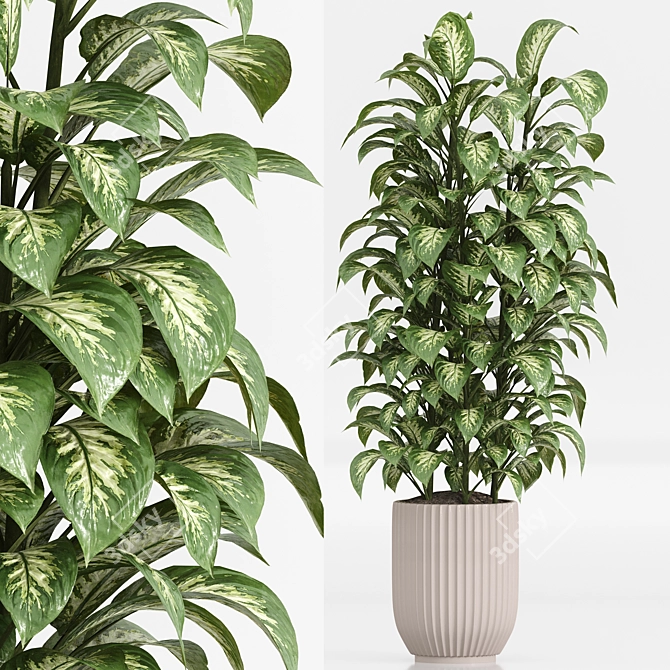  Indoor Plant Set 023 3D model image 2