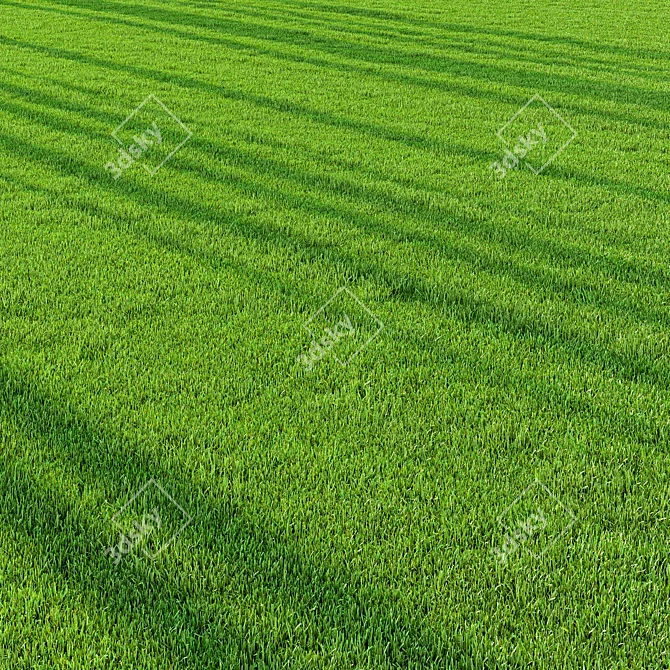 Pro Landscaping Grass Bundle 3D model image 1