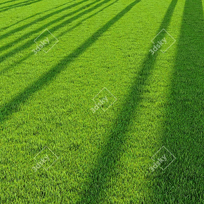 Pro Landscaping Grass Bundle 3D model image 2