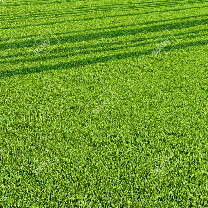 Pro Landscaping Grass Bundle 3D model image 3