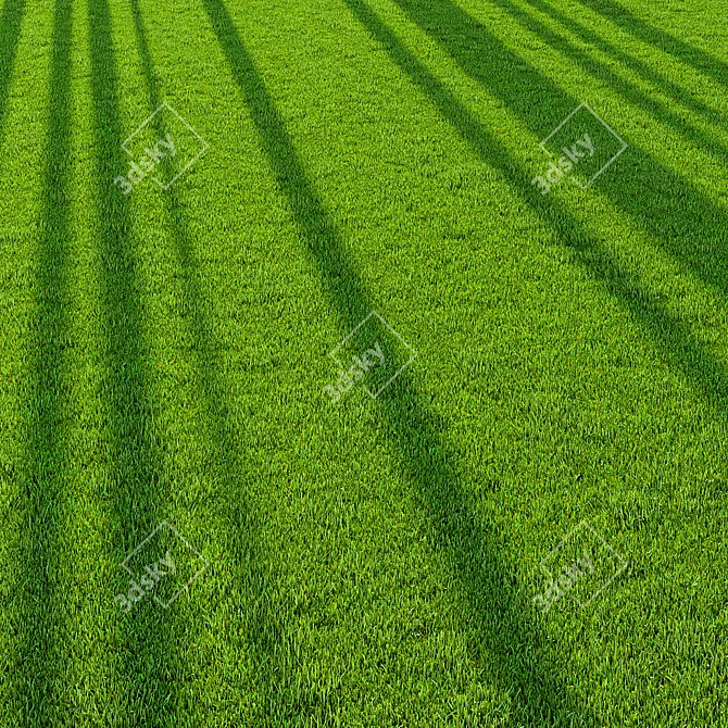 Pro Landscaping Grass Bundle 3D model image 6