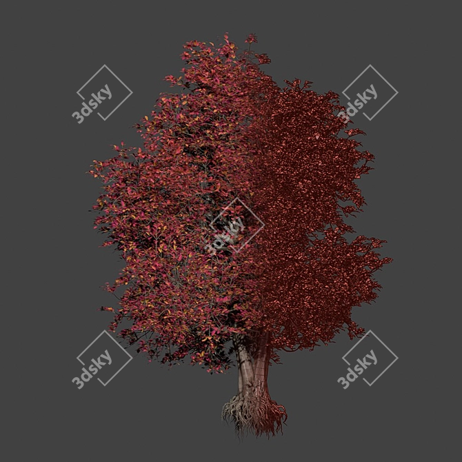 PBR Natural Tree 3D Model 3D model image 5