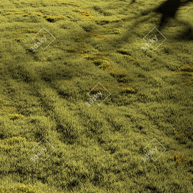 Field Meadow Scene with Scatter 3D model image 6