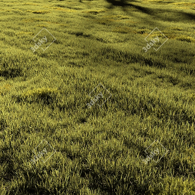 Field Meadow Scene with Scatter 3D model image 1