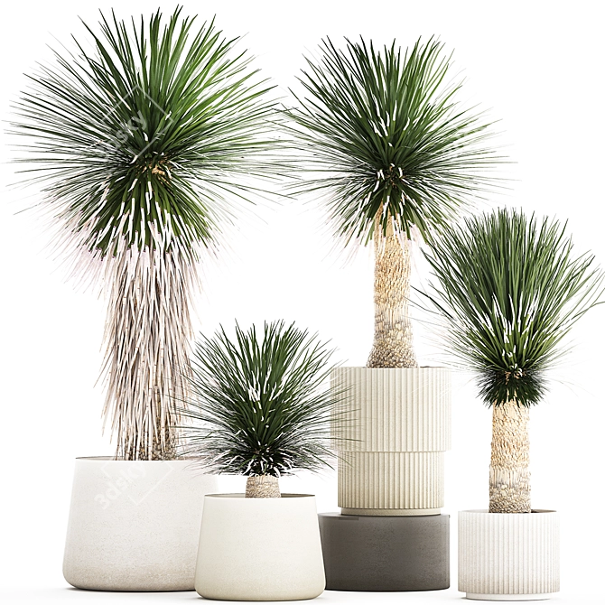 Exotic Yucca Plants in Stylish Pottery 3D model image 1