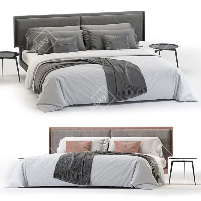 Modern and Stylish SKIN Bed 3D model image 1