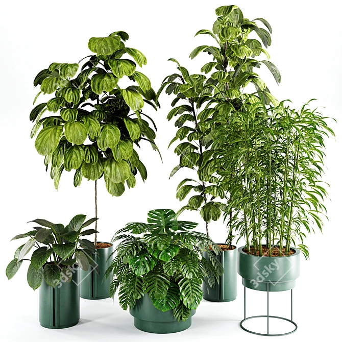 Modern Indoor Plant Set 27 3D model image 1
