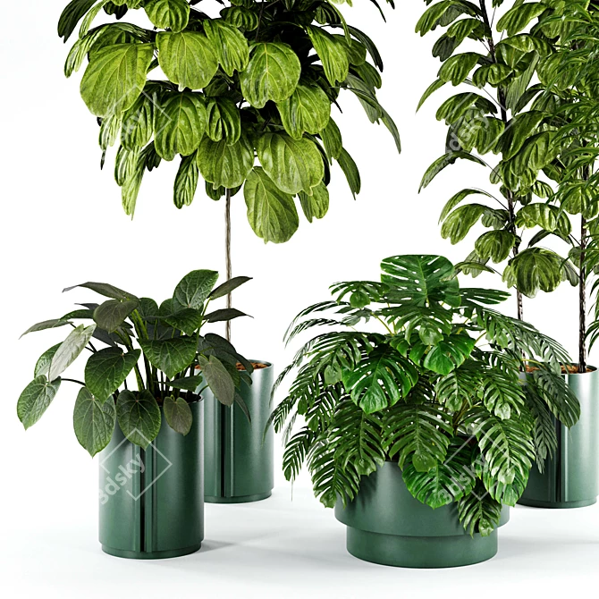Modern Indoor Plant Set 27 3D model image 3
