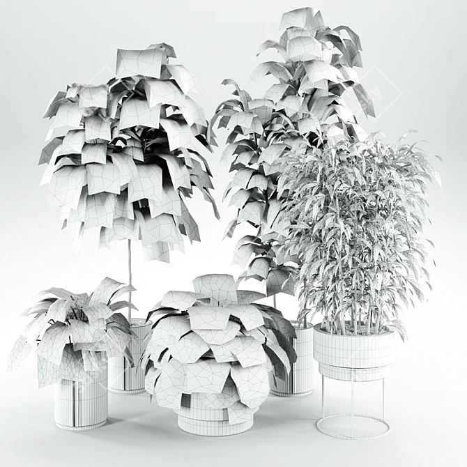 Modern Indoor Plant Set 27 3D model image 5