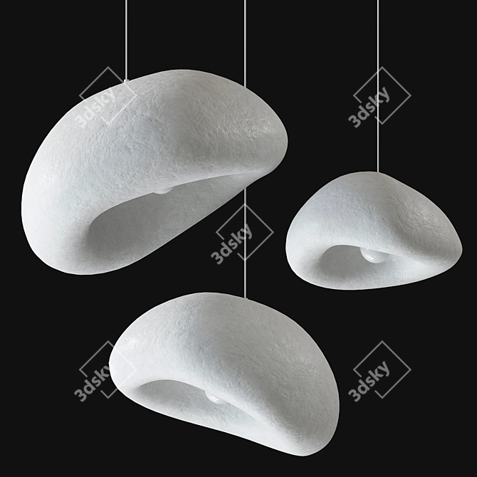 Natural Form Pendant Light 3D model image 5