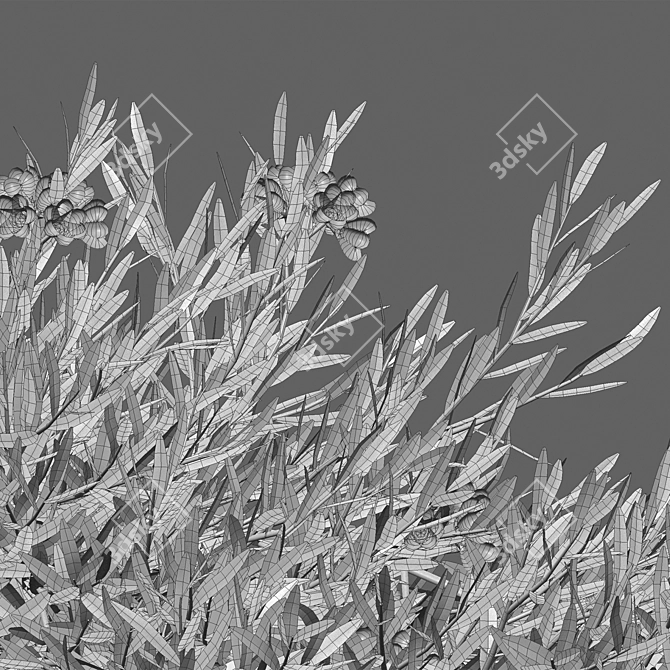 Versatile 3D Plant Model Collection 3D model image 4