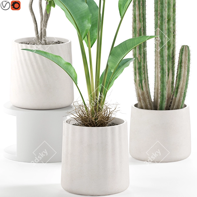 Botanical Oasis Plants Set 3D model image 5