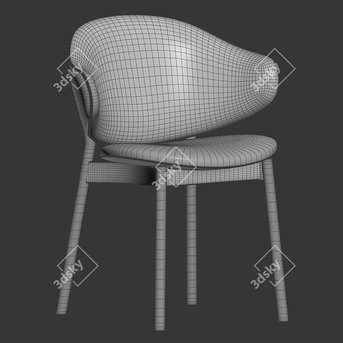 Modern Nelli Dining Chair Design 3D model image 2