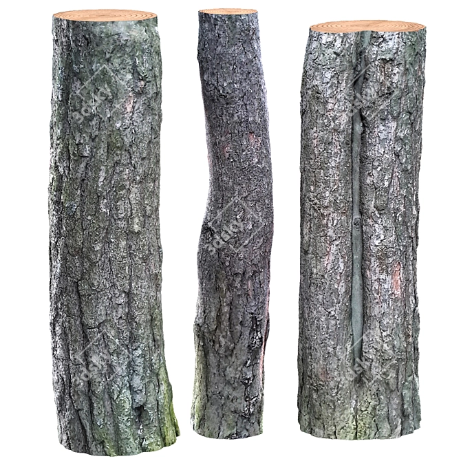Tree Bark with Plugs 3D model image 1