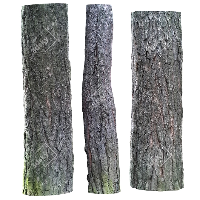 Tree Bark with Plugs 3D model image 2