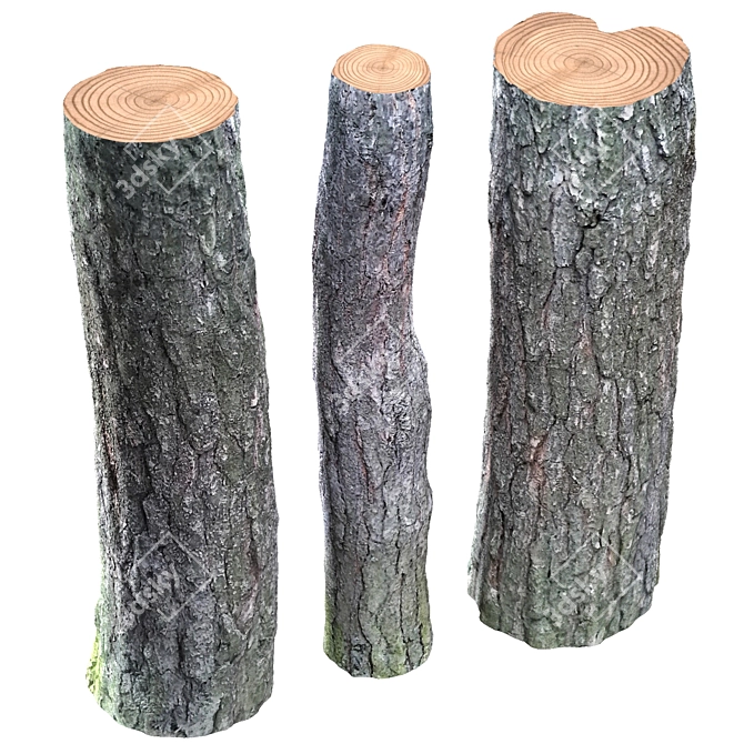Tree Bark with Plugs 3D model image 3