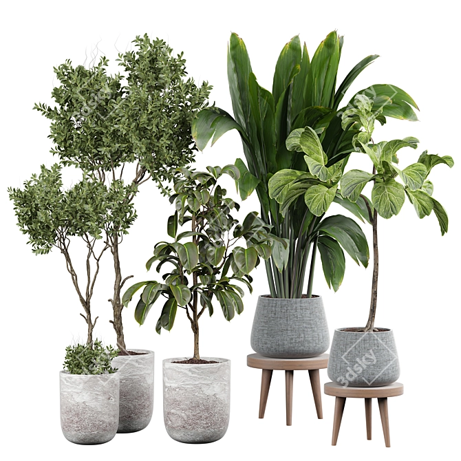 Lively Indoor Plant Collection 3D model image 1