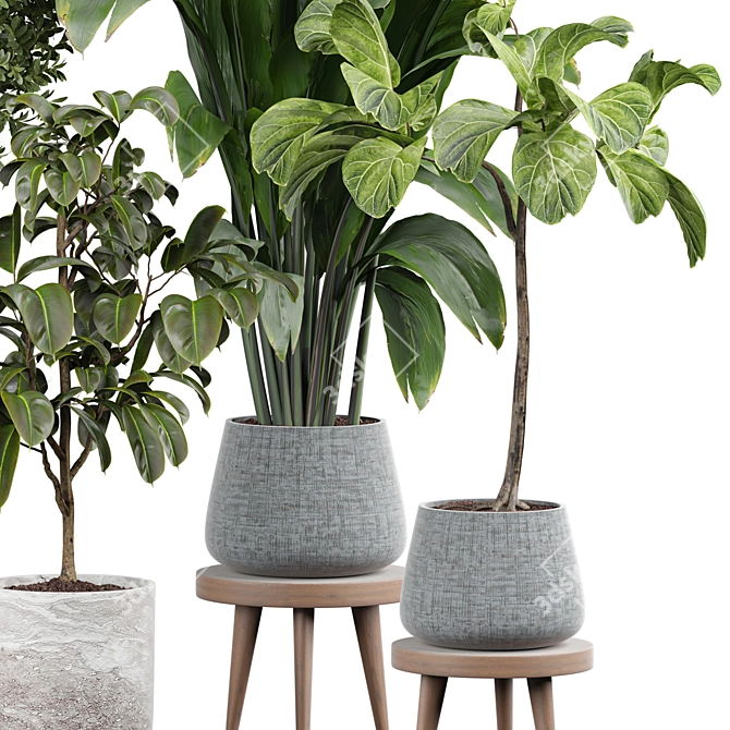 Lively Indoor Plant Collection 3D model image 2