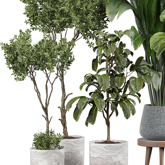 Lively Indoor Plant Collection 3D model image 3