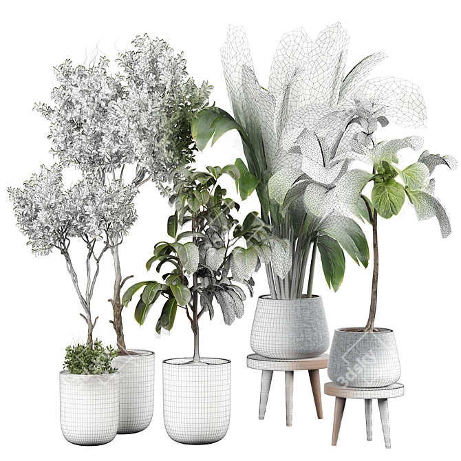 Lively Indoor Plant Collection 3D model image 4