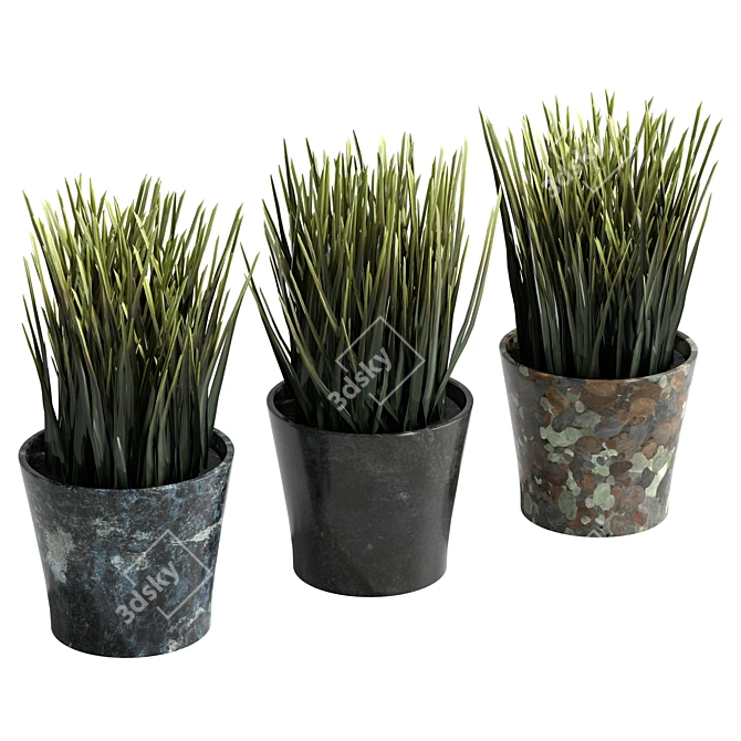 UV Unwrapped Indoor Plants Set 3D model image 1