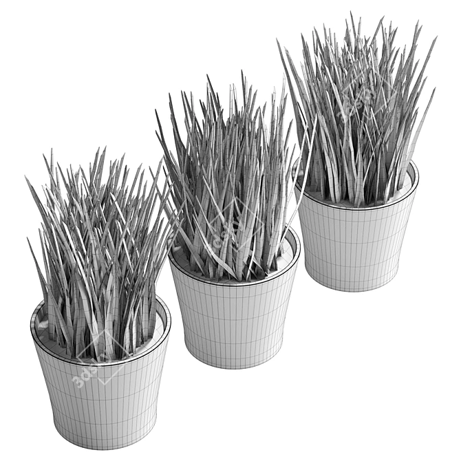 UV Unwrapped Indoor Plants Set 3D model image 6