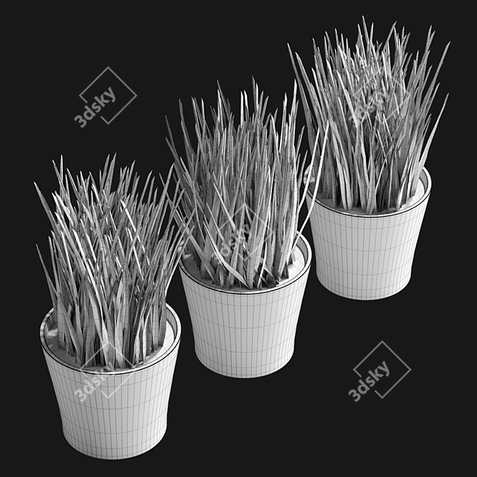 UV-Unwrapped Indoor Plants Model 3D model image 6