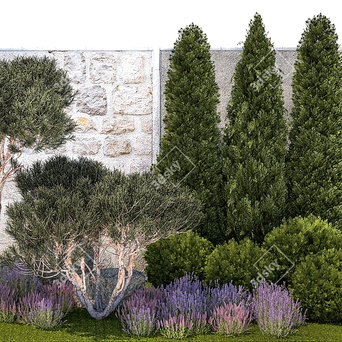 Alpine Garden Collection: Conifers & Lavender 3D model image 3