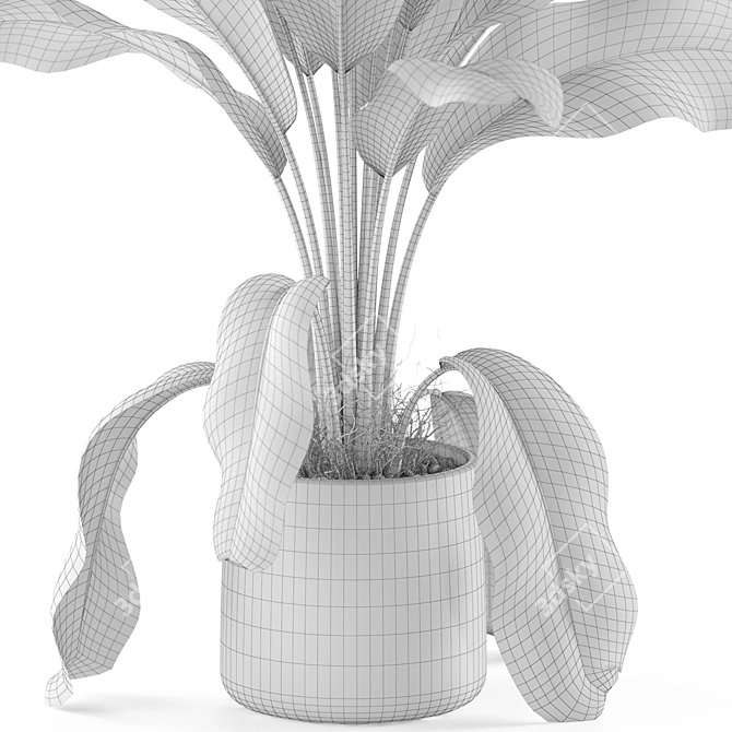 Botanical Bliss Collection: 955 3D model image 4