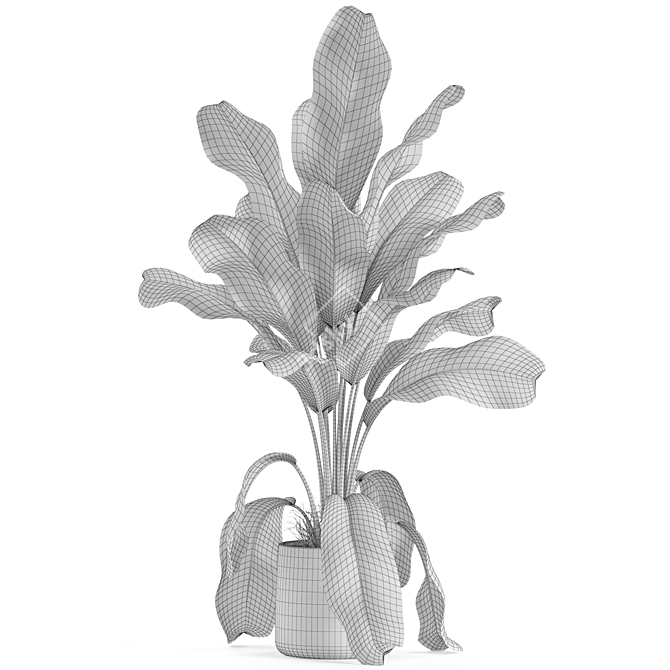 Botanical Bliss Collection: 955 3D model image 5