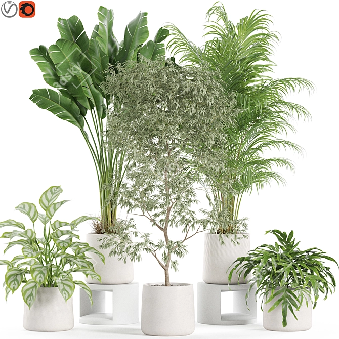 Eco Plant Collection: 607732 Polys 3D model image 1