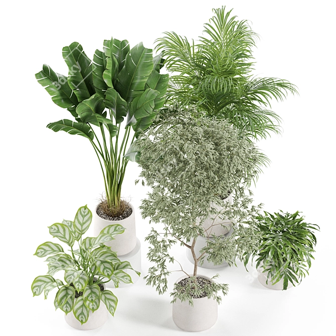 Eco Plant Collection: 607732 Polys 3D model image 5