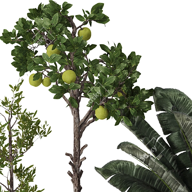 Boho Plant Collection Set 175 3D model image 5