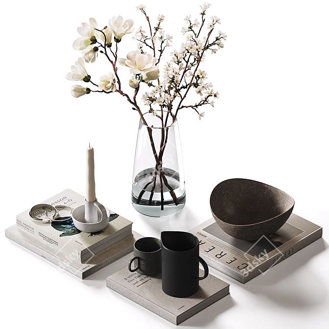 Decorative Set for Coffee Table 3D model image 1