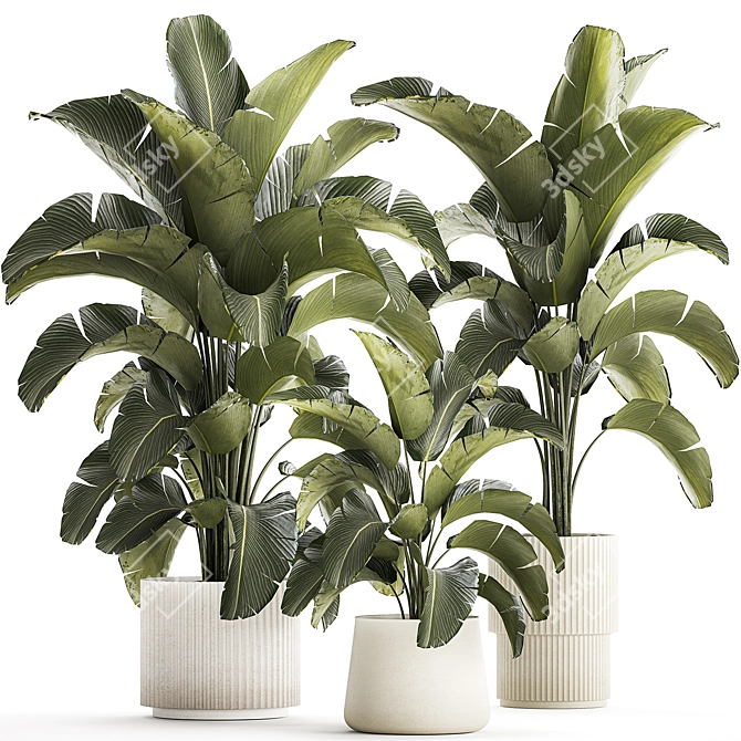 Tropical Plant Collection in Concrete Vase 3D model image 1