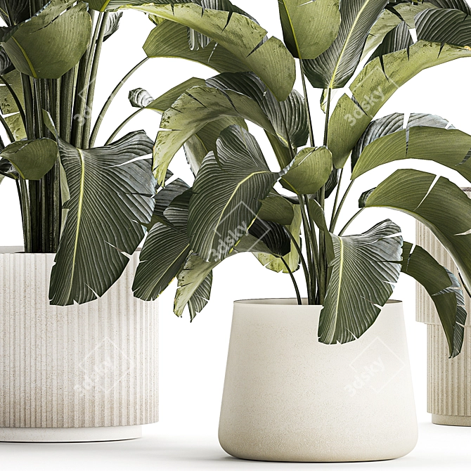 Tropical Plant Collection in Concrete Vase 3D model image 5