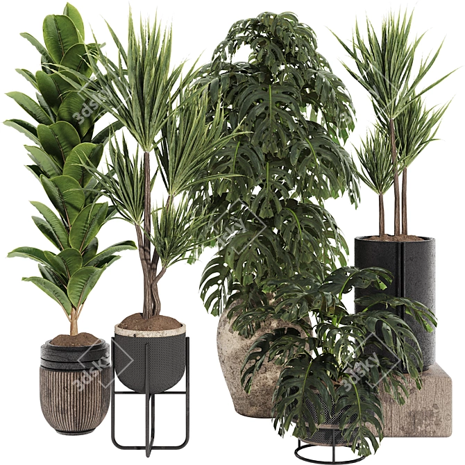 Tropical Plant Collection Set 3D model image 1