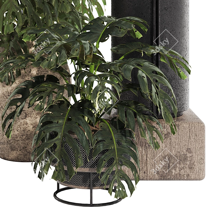 Tropical Plant Collection Set 3D model image 4