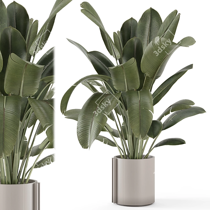 Rustic Concrete Pot Indoor Plants 3D model image 1