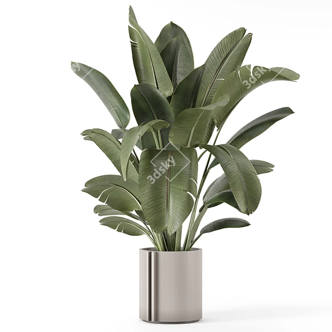 Rustic Concrete Pot Indoor Plants 3D model image 2